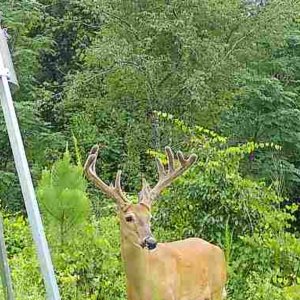 2-day hunting package (includes lodging)